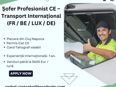 Sofer de TIR, transport international, categoria CE